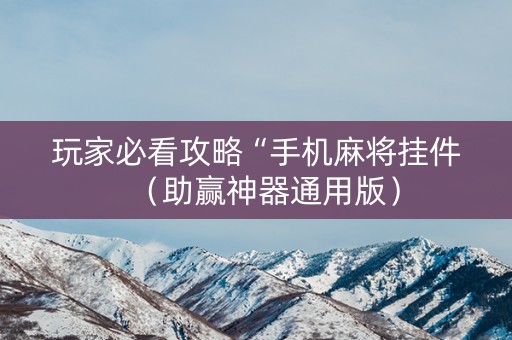 玩家必看攻略“手机麻将挂件（助赢神器通用版）