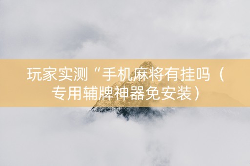 玩家实测“手机麻将有挂吗（专用辅牌神器免安装）