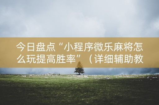 今日盘点“小程序微乐麻将怎么玩提高胜率”（详细辅助教程）-哔哩哔哩