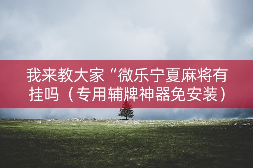 我来教大家“微乐宁夏麻将有挂吗（专用辅牌神器免安装）