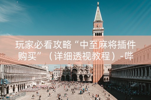 玩家必看攻略“中至麻将插件购买”（详细透视教程）-哔哩哔哩