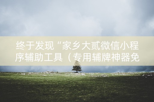 终于发现“家乡大贰微信小程序辅助工具（专用辅牌神器免安装）