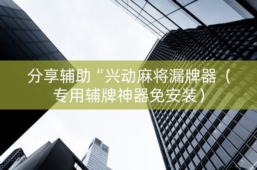 分享辅助“兴动麻将漏牌器（专用辅牌神器免安装）