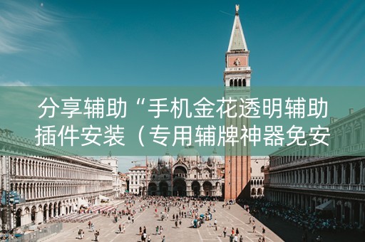 分享辅助“手机金花透明辅助插件安装（专用辅牌神器免安装）