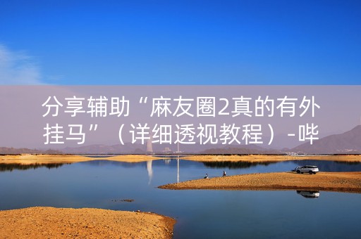 分享辅助“麻友圈2真的有外挂马”（详细透视教程）-哔哩哔哩