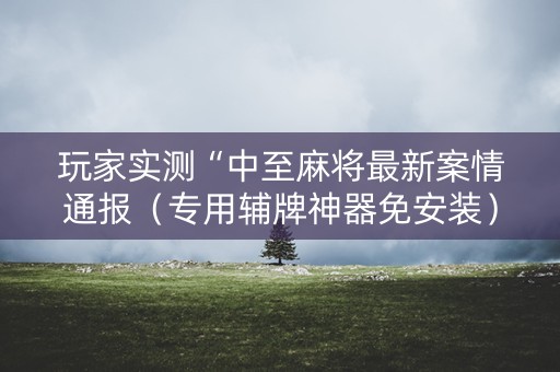 玩家实测“中至麻将最新案情通报（专用辅牌神器免安装）