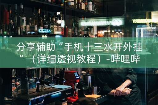分享辅助“手机十三水开外挂”（详细透视教程）-哔哩哔哩