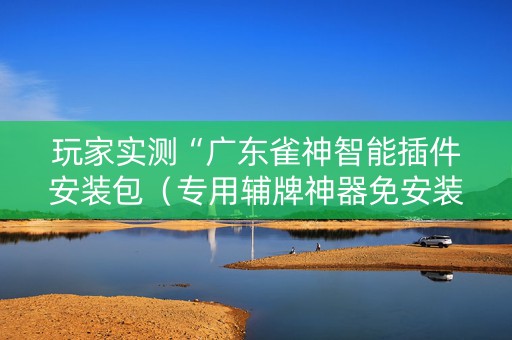 玩家实测“广东雀神智能插件安装包（专用辅牌神器免安装）
