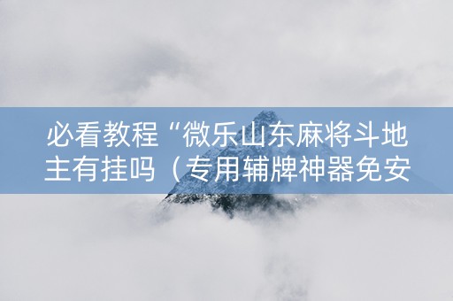 必看教程“微乐山东麻将斗地主有挂吗（专用辅牌神器免安装）