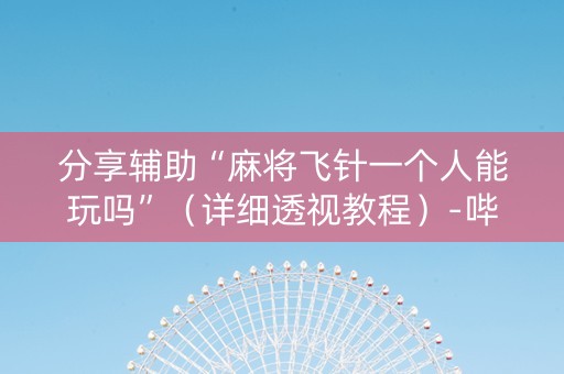 分享辅助“麻将飞针一个人能玩吗”（详细透视教程）-哔哩哔哩