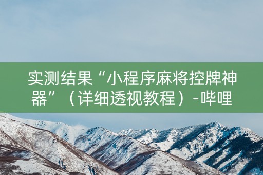 实测结果“小程序麻将控牌神器”（详细透视教程）-哔哩哔哩
