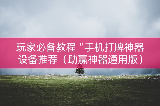 玩家必备教程“手机打牌神器设备推荐（助赢神器通用版）