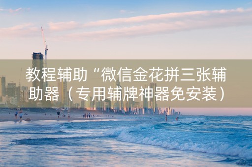 教程辅助“微信金花拼三张辅助器（专用辅牌神器免安装）