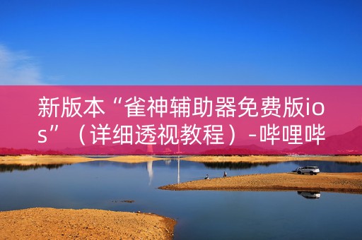 新版本“雀神辅助器免费版ios”（详细透视教程）-哔哩哔哩