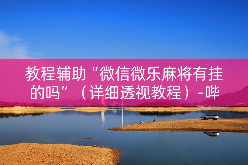 教程辅助“微信微乐麻将有挂的吗”（详细透视教程）-哔哩哔哩