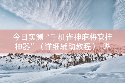 今日实测“手机雀神麻将软挂神器”（详细辅助教程）-哔哩哔哩