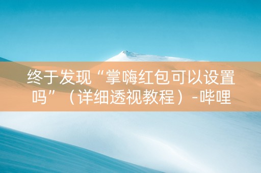 终于发现“掌嗨红包可以设置吗”（详细透视教程）-哔哩哔哩