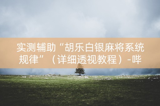 实测辅助“胡乐白银麻将系统规律”（详细透视教程）-哔哩哔哩
