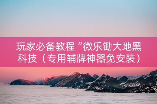 玩家必备教程“微乐锄大地黑科技（专用辅牌神器免安装）