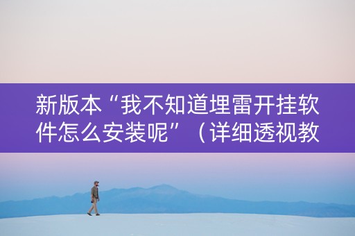 新版本“我不知道埋雷开挂软件怎么安装呢”（详细透视教程）-哔哩哔哩