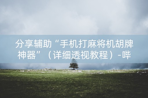 分享辅助“手机打麻将机胡牌神器”（详细透视教程）-哔哩哔哩