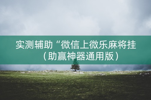 实测辅助“微信上微乐麻将挂（助赢神器通用版）