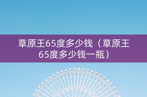 草原王65度多少钱（草原王65度多少钱一瓶）