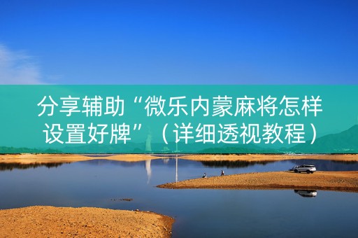 分享辅助“微乐内蒙麻将怎样设置好牌”（详细透视教程）-哔哩哔哩