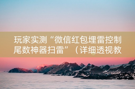玩家实测“微信红包埋雷控制尾数神器扫雷”（详细透视教程）-哔哩哔哩