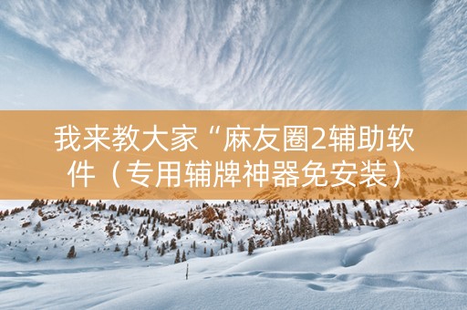 我来教大家“麻友圈2辅助软件（专用辅牌神器免安装）