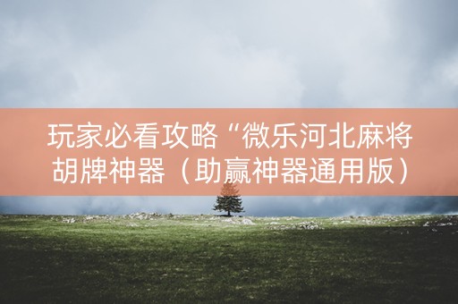 玩家必看攻略“微乐河北麻将胡牌神器（助赢神器通用版）