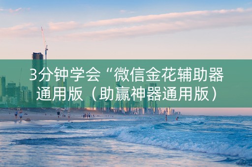 3分钟学会“微信金花辅助器通用版（助赢神器通用版）