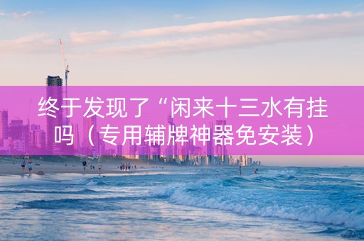 终于发现了“闲来十三水有挂吗（专用辅牌神器免安装）