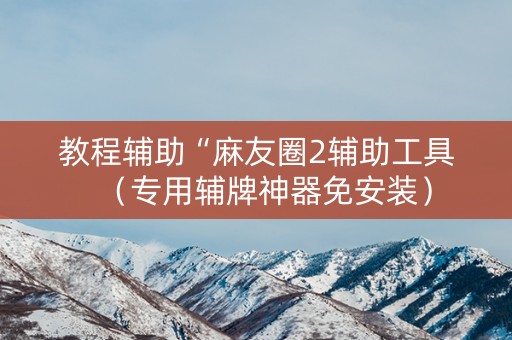 教程辅助“麻友圈2辅助工具（专用辅牌神器免安装）