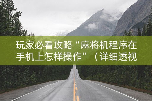 玩家必看攻略“麻将机程序在手机上怎样操作”（详细透视教程）-哔哩哔哩