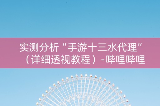 实测分析“手游十三水代理”（详细透视教程）-哔哩哔哩