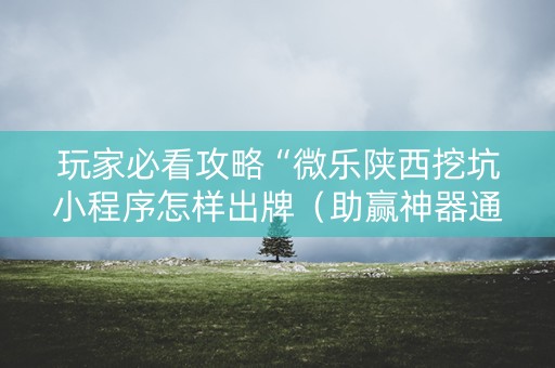 玩家必看攻略“微乐陕西挖坑小程序怎样出牌（助赢神器通用版）