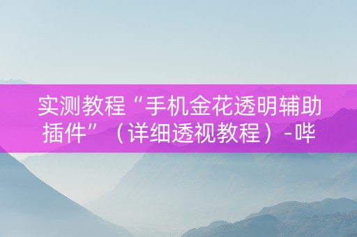 实测教程“手机金花透明辅助插件”（详细透视教程）-哔哩哔哩