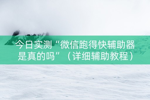 今日实测“微信跑得快辅助器是真的吗”（详细辅助教程）-哔哩哔哩