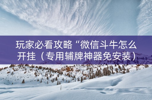 玩家必看攻略“微信斗牛怎么开挂（专用辅牌神器免安装）