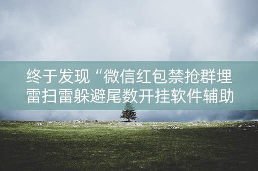 终于发现“微信红包禁抢群埋雷扫雷躲避尾数开挂软件辅助”（详细透视教程）-哔哩哔哩