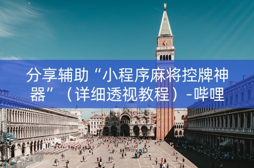 分享辅助“小程序麻将控牌神器”（详细透视教程）-哔哩哔哩