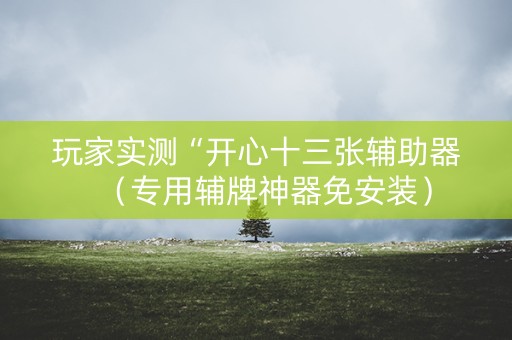 玩家实测“开心十三张辅助器（专用辅牌神器免安装）