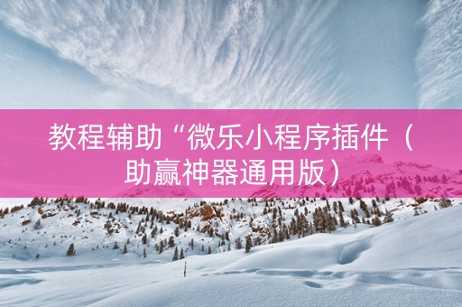 教程辅助“微乐小程序插件（助赢神器通用版）