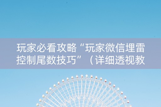 玩家必看攻略“玩家微信埋雷控制尾数技巧”（详细透视教程）-哔哩哔哩