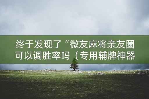 终于发现了“微友麻将亲友圈可以调胜率吗（专用辅牌神器免安装）