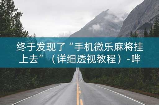 终于发现了“手机微乐麻将挂上去”（详细透视教程）-哔哩哔哩
