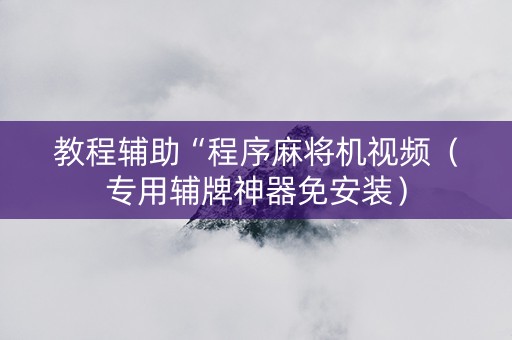 教程辅助“程序麻将机视频（专用辅牌神器免安装）