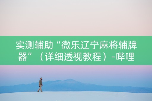 实测辅助“微乐辽宁麻将辅牌器”（详细透视教程）-哔哩哔哩