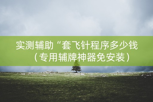 实测辅助“套飞针程序多少钱（专用辅牌神器免安装）